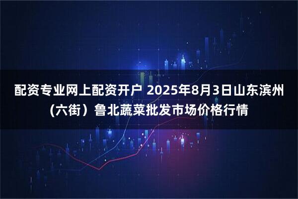 配资专业网上配资开户 2025年8月3日山东滨州(六街）鲁北蔬菜批发市场价格行情